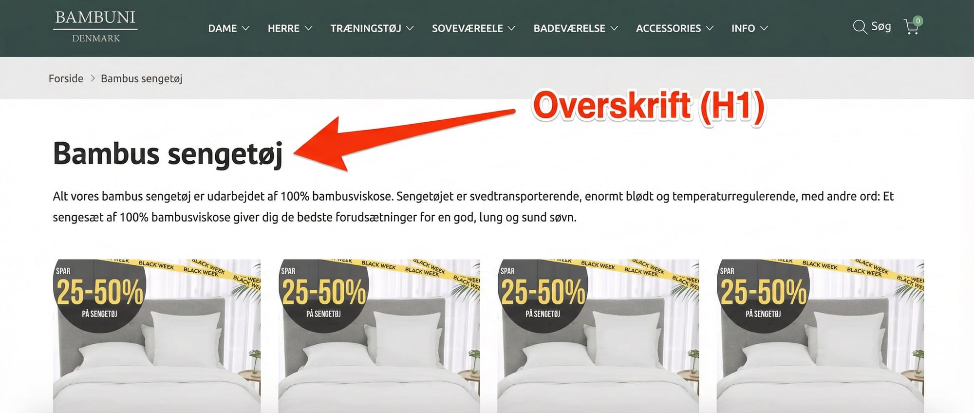 eksempel på overskrift (H1)